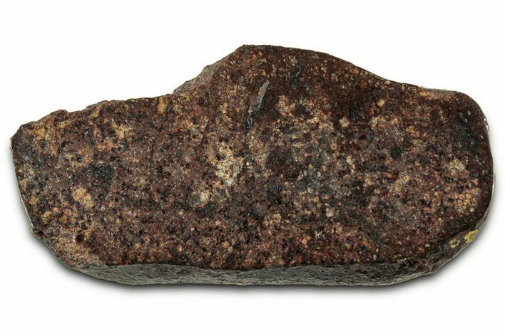 Chondrite Meteorite Section ( g) - NWA #347088